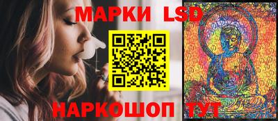 ALPHA PVP Гатчина