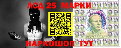 ALPHA PVP Гатчина