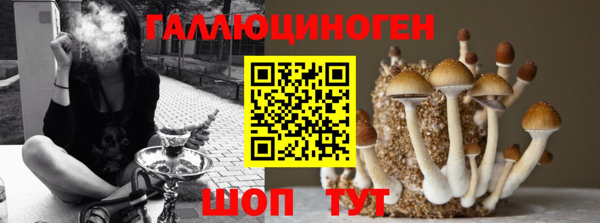 Галлюциногенные грибы прущие грибы  Псилоцибиновые грибы Cubensis  Нарьян-Мар  Вход с VPN 